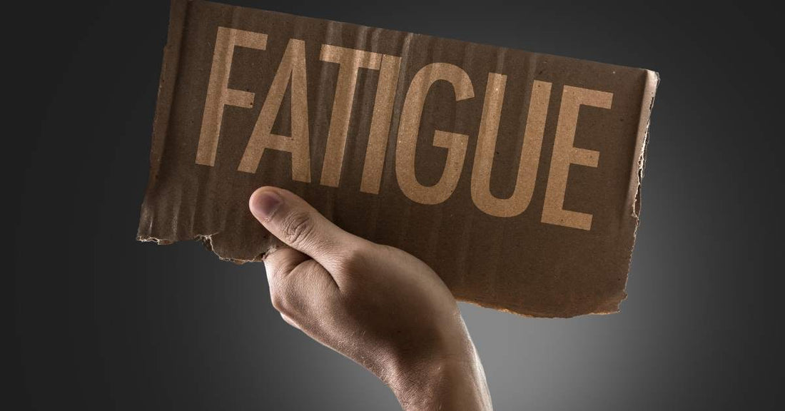 Pourquoi certains aliments détruisent votre énergie avant de courir